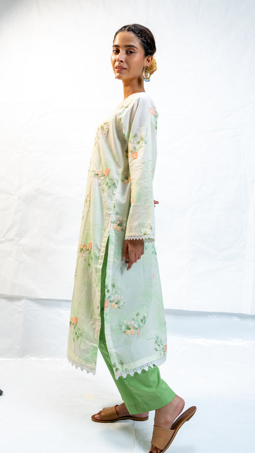 chikankari long kameez